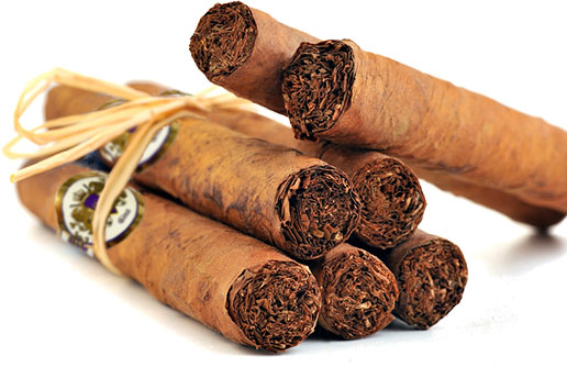 Gina Cigar Unique Dominican Cigar Blends